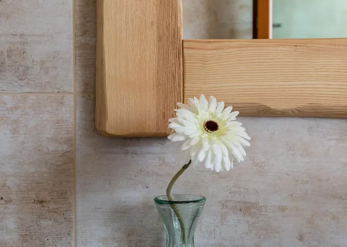 Maila Oda ve Kahvaltı 3*